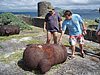 P4060361.JPG