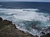 P4060384.JPG