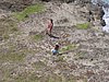 P4060405.JPG