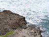 P4060407.JPG
