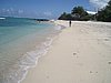 P4070539.JPG