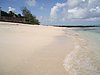 P4070551.JPG