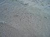 P4070567.JPG