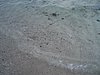 P4070568.JPG