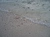 P4070570.JPG