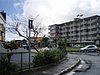 P4090579.JPG