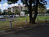 P4090666.JPG