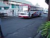 P4090713.JPG
