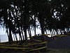 P4100753.JPG