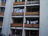 P4100778.JPG
