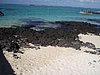 P4110846.JPG