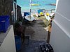 P4110855.JPG