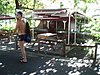 P4110863.JPG