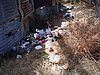 P4110879.JPG