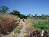 P4110881.JPG