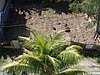 P4110903.JPG