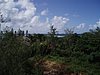 P4110906.JPG