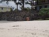 P4110919.JPG