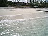 P4110951.JPG