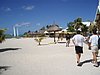 P4121000.JPG