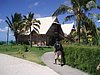 P4121010.JPG