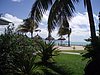 P4121020.JPG
