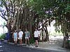 P4121039.JPG