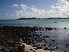 P4121076.JPG