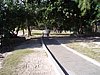 P4121078.JPG