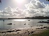 P4121081.JPG