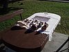 P4121083.JPG