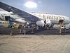 P4131105.JPG