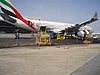 P4131106.JPG