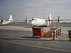 P4131109.JPG