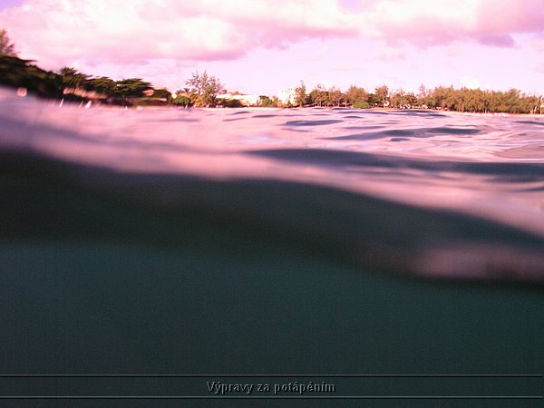 P1010229.JPG