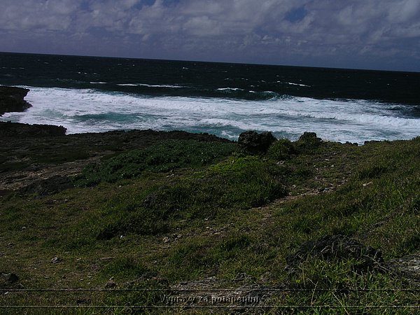 P1010120.JPG