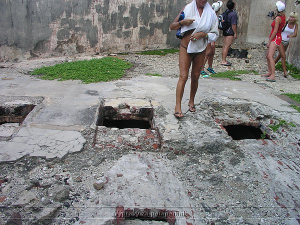 P1010152.JPG