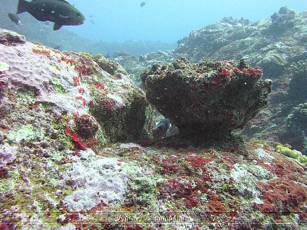 P1010042.JPG