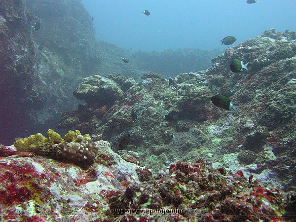 P1010043.JPG