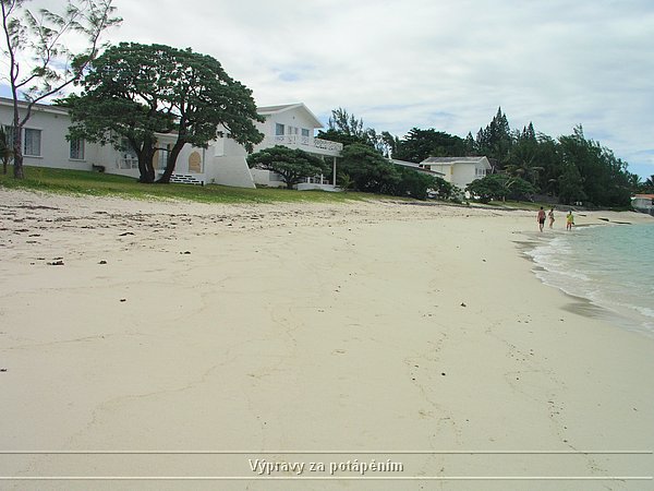 P1010082.JPG
