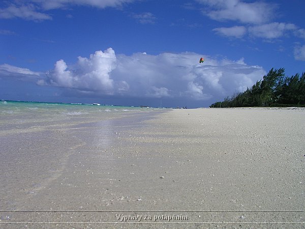P1010087.JPG