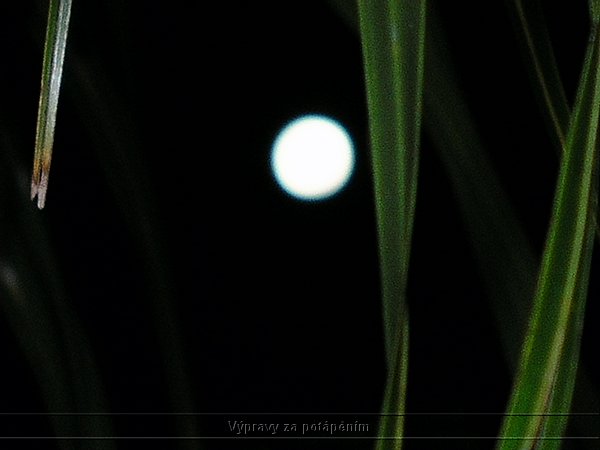 P1010107.JPG