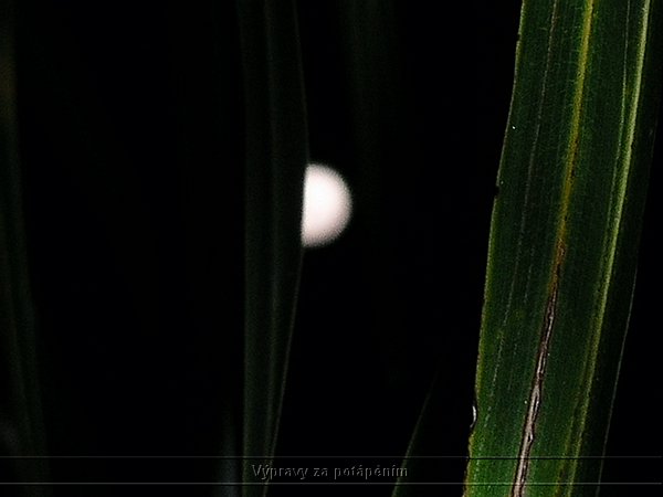 P1010109.JPG