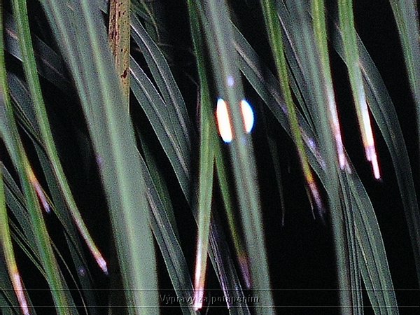 P1010112.JPG