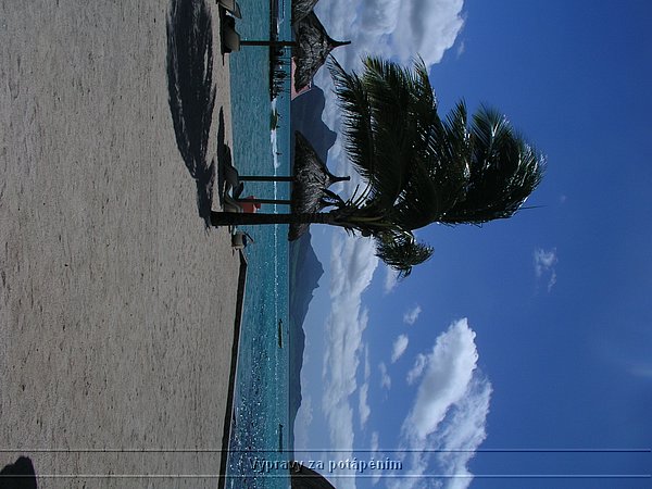 P1010136.JPG