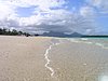P1010088.JPG