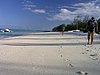 P1010103.JPG