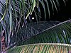 P1010114.JPG