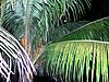 P1010115.JPG