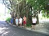 P1010149.JPG